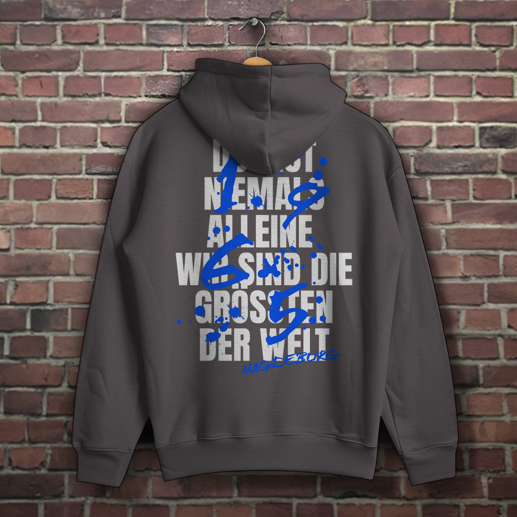 die Grössten - Hoodie - Rückendruck