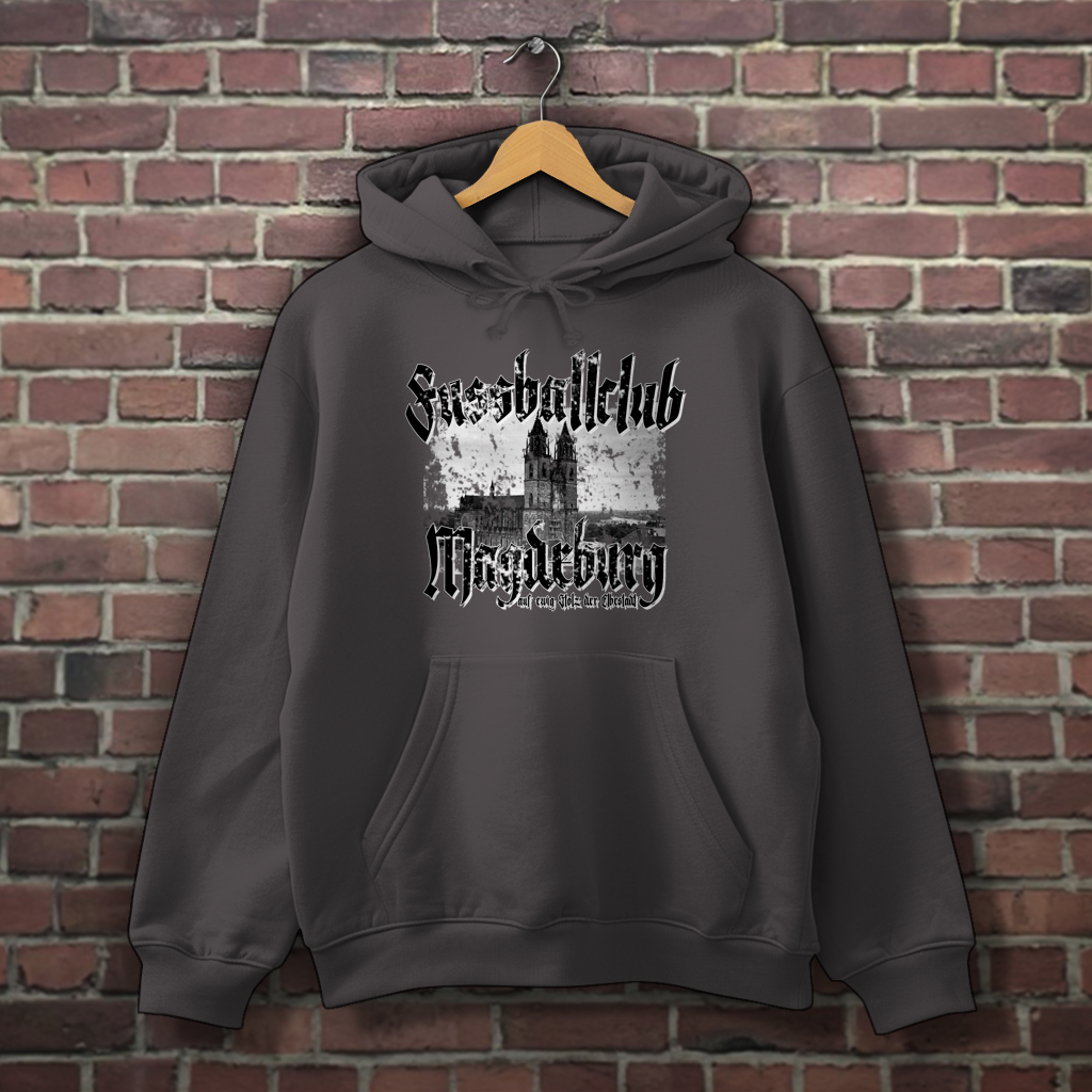 Hoodie Elbestadt vintage