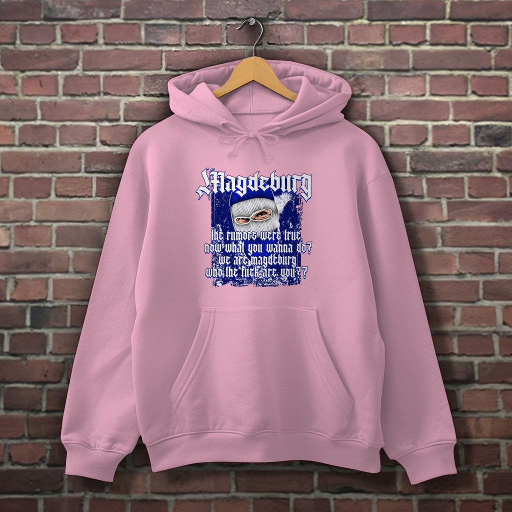 Hoodie Who are you  2